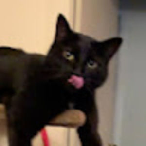 Meet your Posher, Sheri